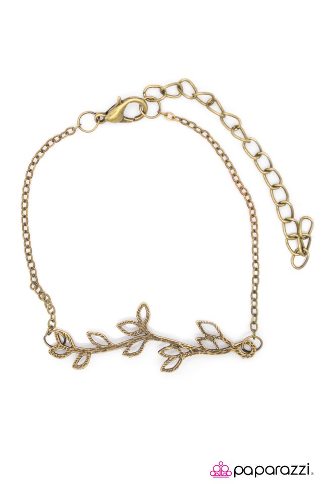 Paparazzi ♥ Timber! - Brass ♥ Bracelet