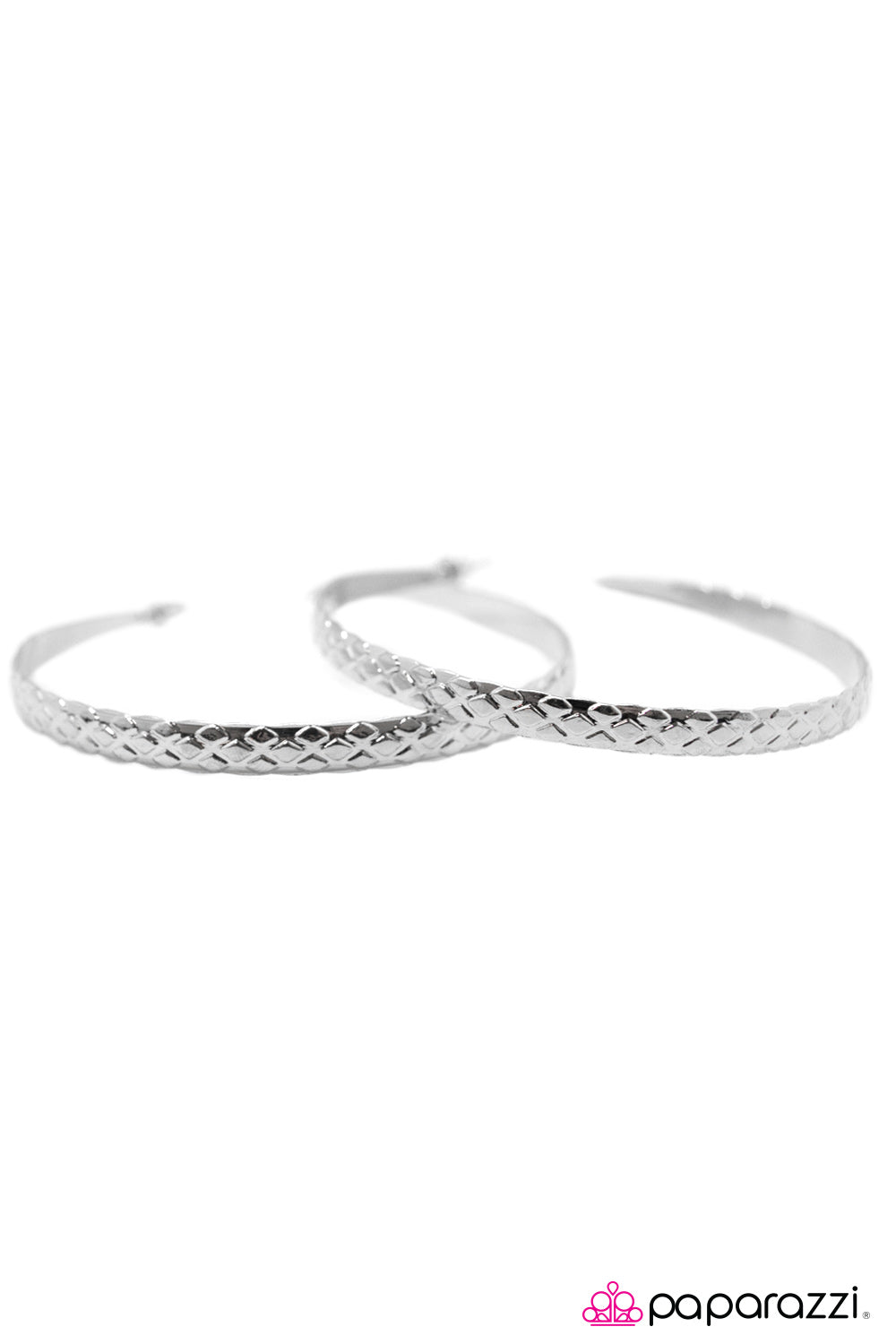 Paparazzi ♥ Give Me The Scoop - Silver ♥ Earrings