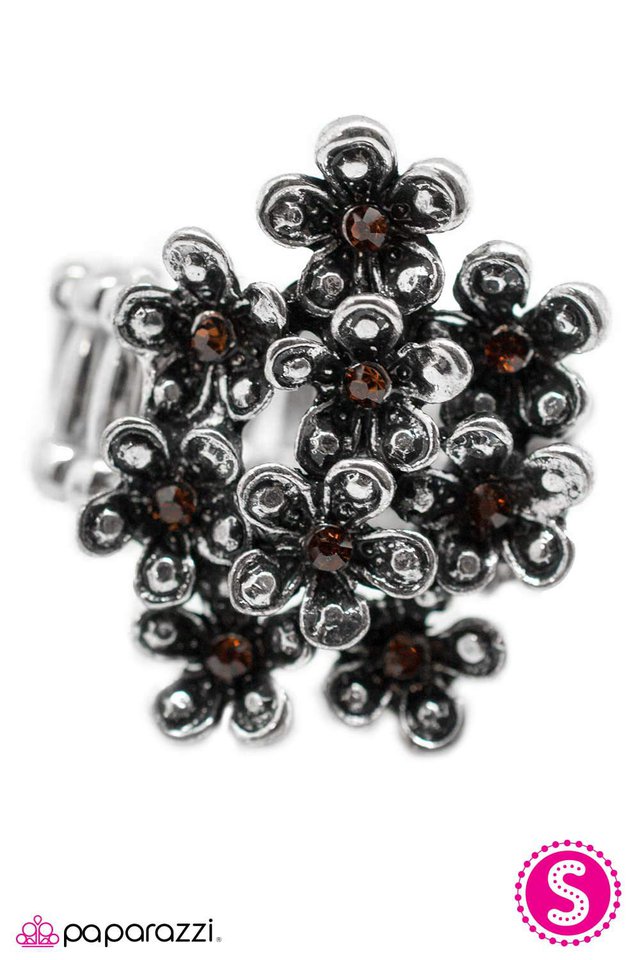 Paparazzi ♥ Forget Your Troubles - Brown ♥ Ring