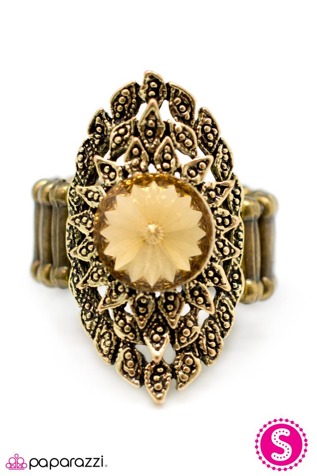 Paparazzi ♥ Nature Lover - Brass ♥ Ring