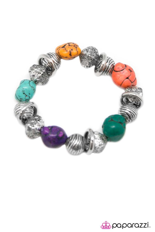 Paparazzi ♥ National Geographic - Multi ♥ Bracelet