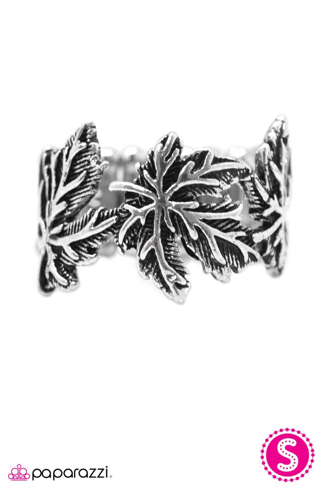 Paparazzi ♥ If You LEAF - Silver ♥ Ring