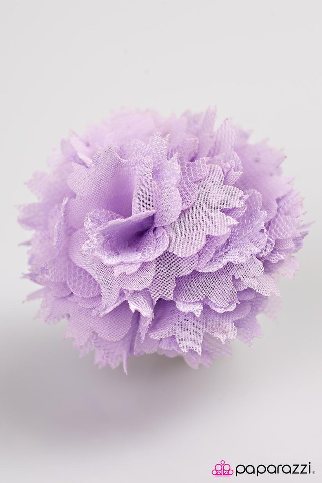 Paparazzi ♥ Fruit Tart - Purple ♥ Hair Clip