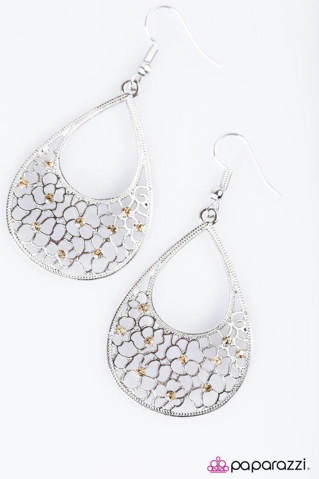 Paparazzi ♥ Hanging Gardens - Brown ♥ Earrings