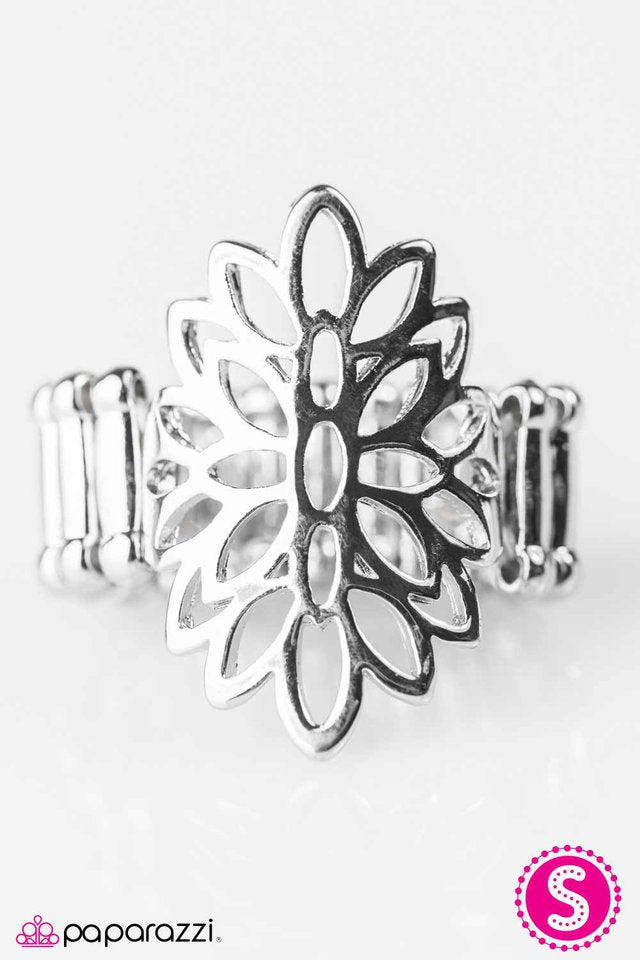 Paparazzi ♥ What A Blast! - Silver ♥ Ring