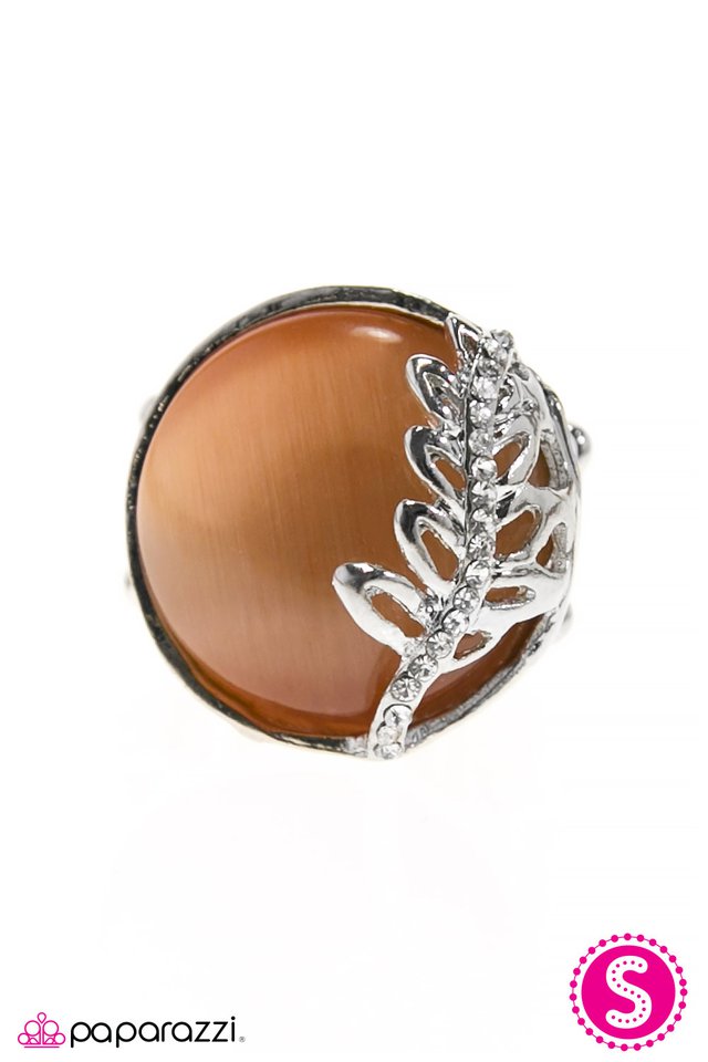Paparazzi ♥ Under The Harvest Moon - Orange ♥ Ring