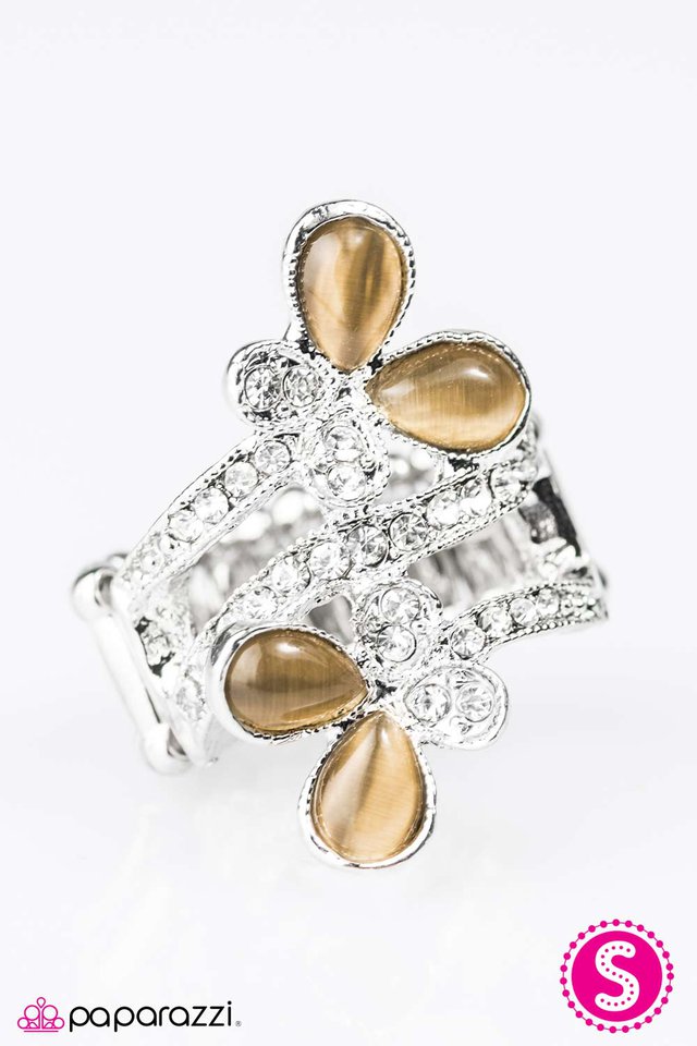 Paparazzi ♥ WINGING In The New Year - Brown ♥ Ring