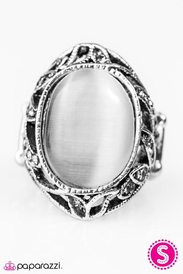 Paparazzi ♥ Nighttime Garden - Silver ♥ Ring