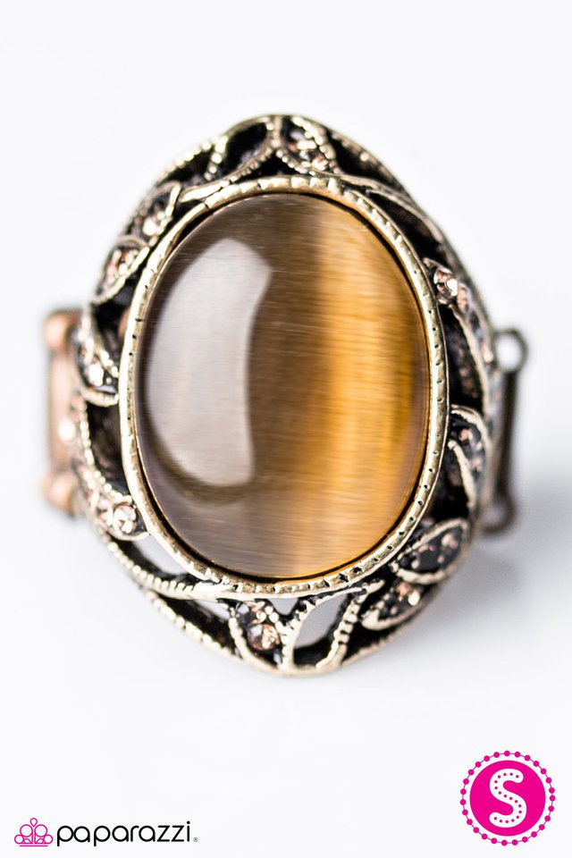 Paparazzi ♥ Nighttime Garden - Brass ♥ Ring