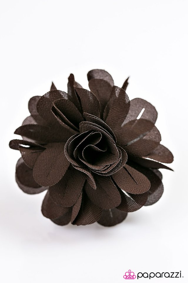 Paparazzi ♥ The Last Song - Brown ♥ Hair Clip