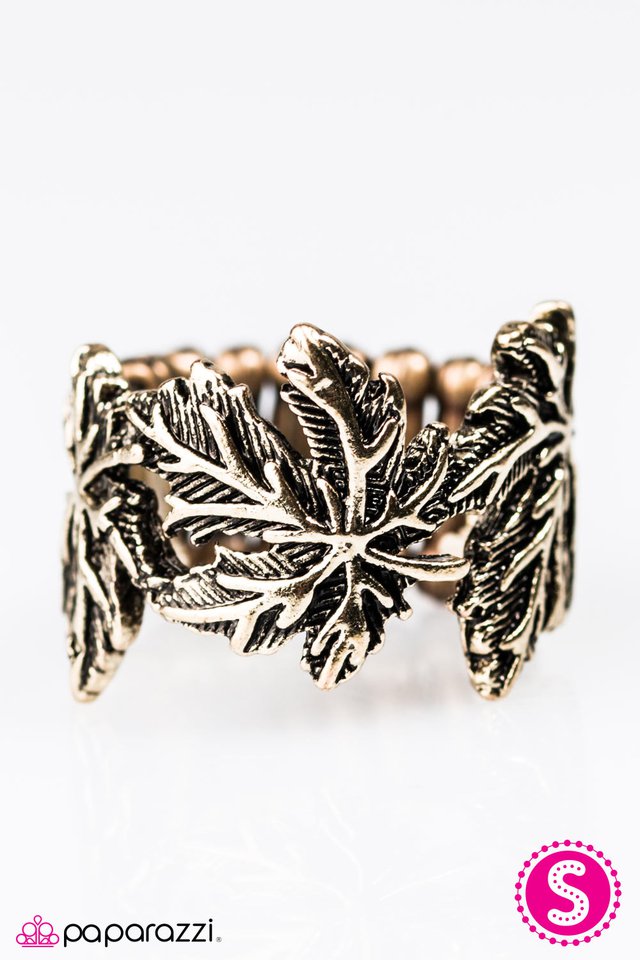 Paparazzi ♥ If You LEAF - Brass ♥ Ring