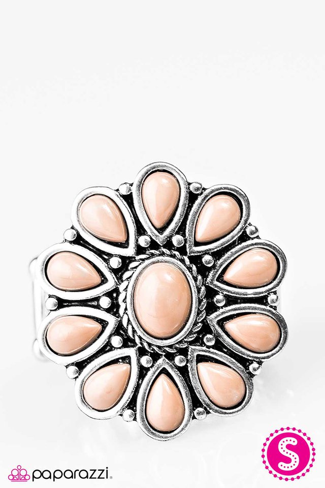 Paparazzi ♥ Daisy Dance - Brown ♥ Ring