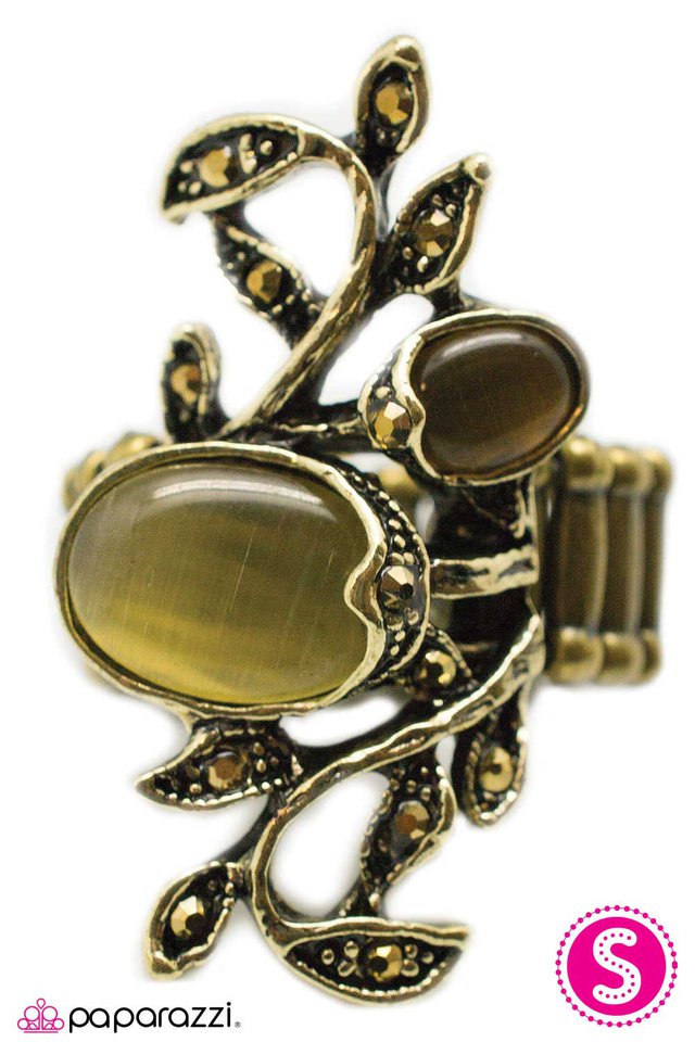 Paparazzi ♥ Vining for Attention - Brass ♥ Ring