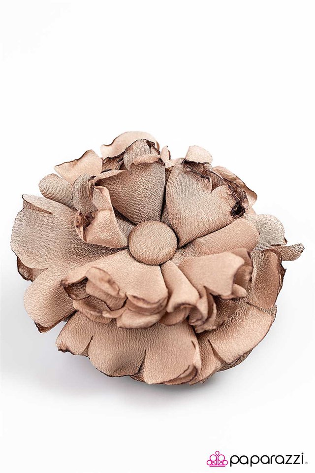 Paparazzi ♥ Shame On You - Brown ♥ Hair Clip