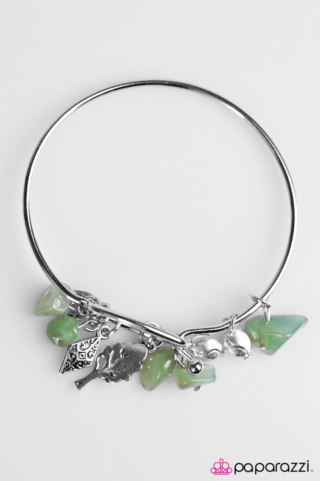 Paparazzi ♥ Grounded - Green ♥ Bracelet
