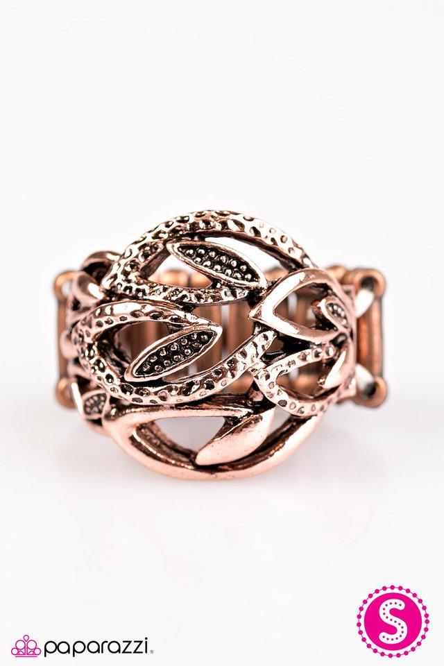 Paparazzi ♥ Your Place Or VINE? - Copper ♥ Ring