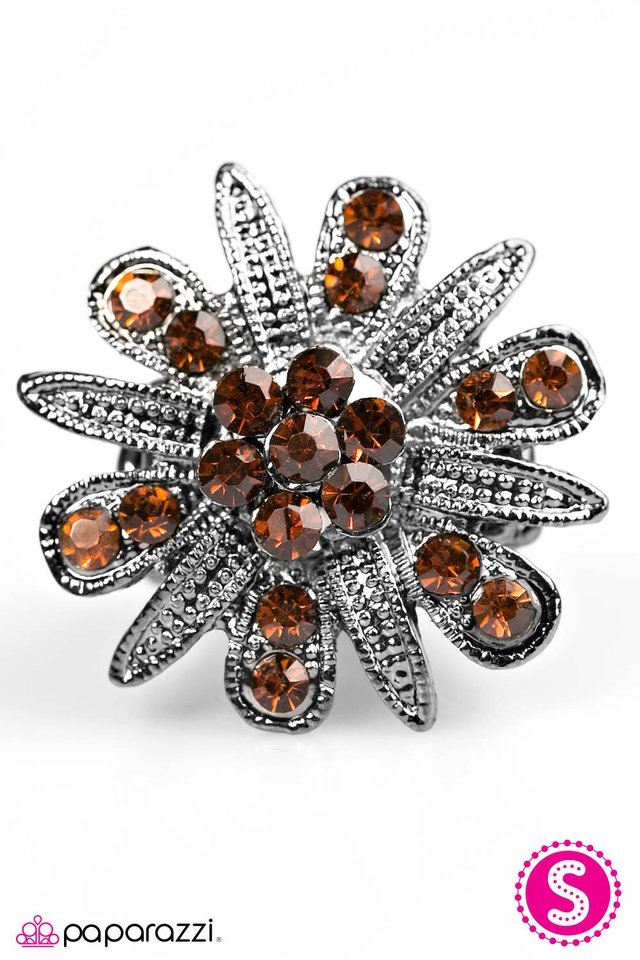 Paparazzi ♥ Ignite The Light - Brown ♥ Ring