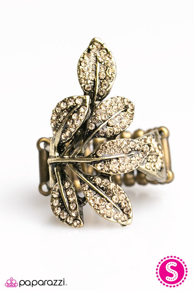 Paparazzi ♥ Frosted Forest - Brass ♥ Ring