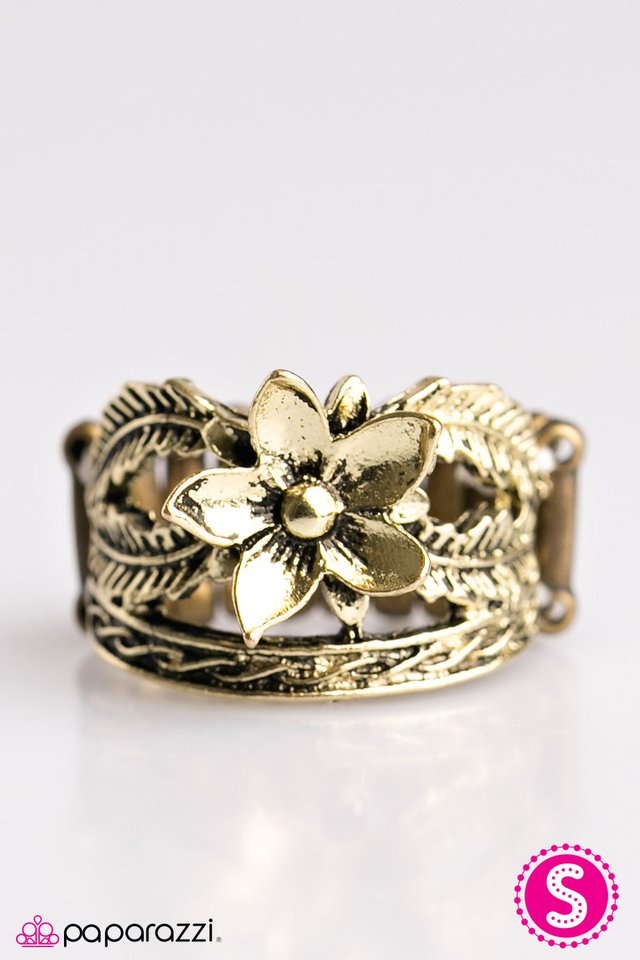 Paparazzi ♥ Samoan Summer - Brass ♥ Ring