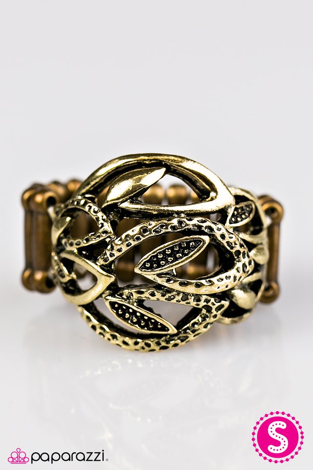 Paparazzi ♥ Your Place Or VINE? - Brass ♥ Ring