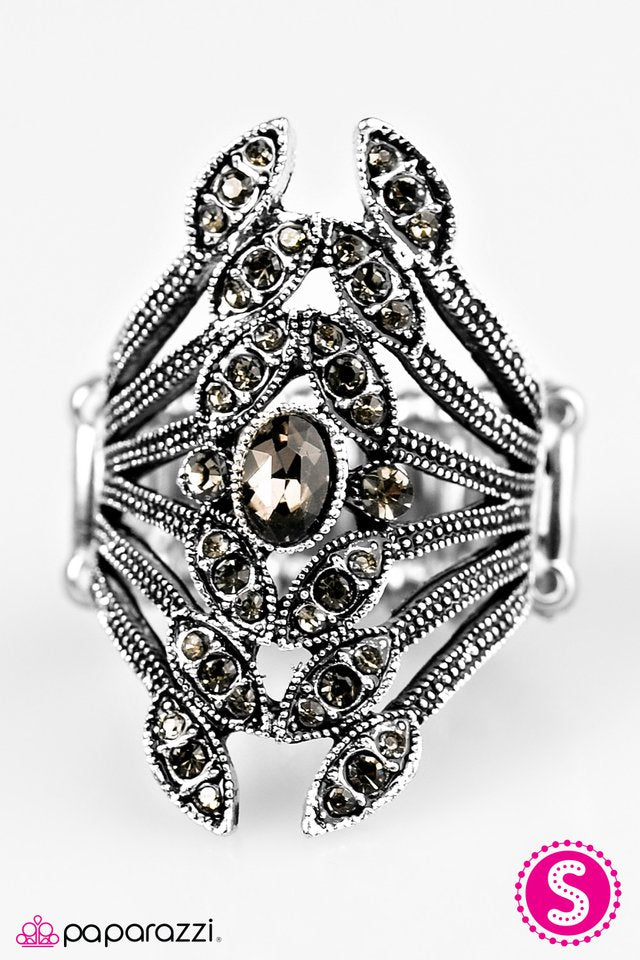 Paparazzi ♥ Garden Retreat - Silver ♥ Ring