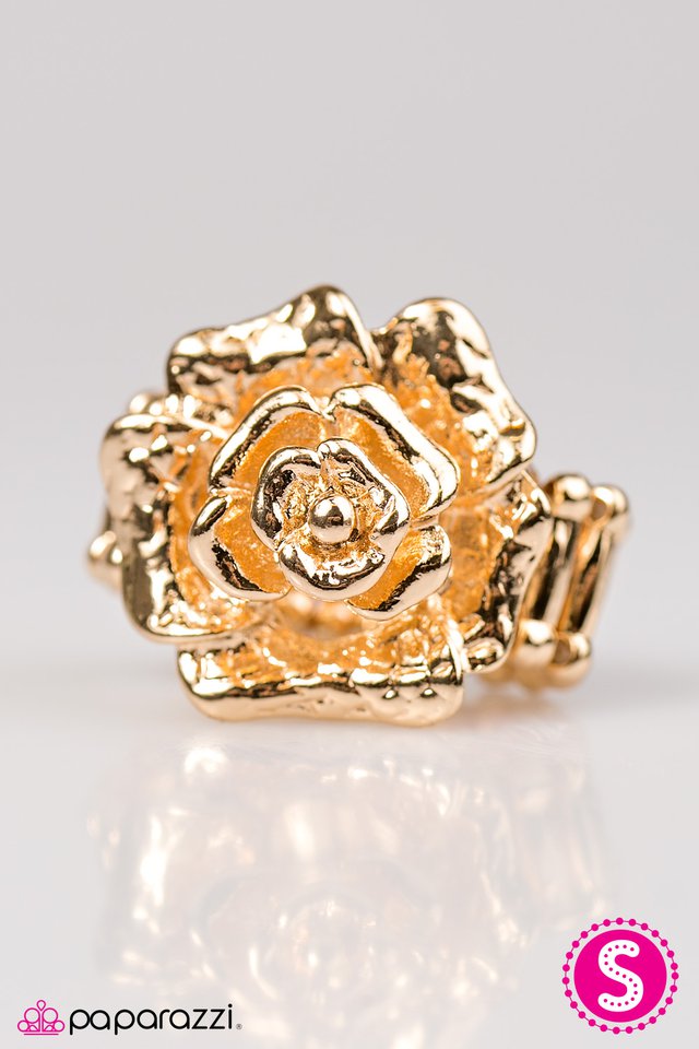 Paparazzi ♥ Garden Of Grandeur - Gold ♥ Ring