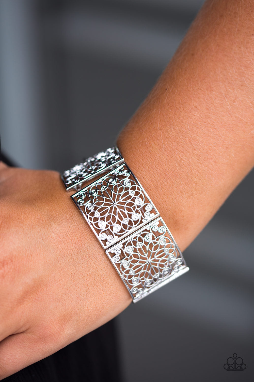 Paparazzi ♥ The Price Of FRAME - Silver ♥ Bracelet