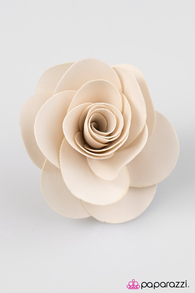 Paparazzi ♥ Teachers Pet - Brown ♥ Hair Clip