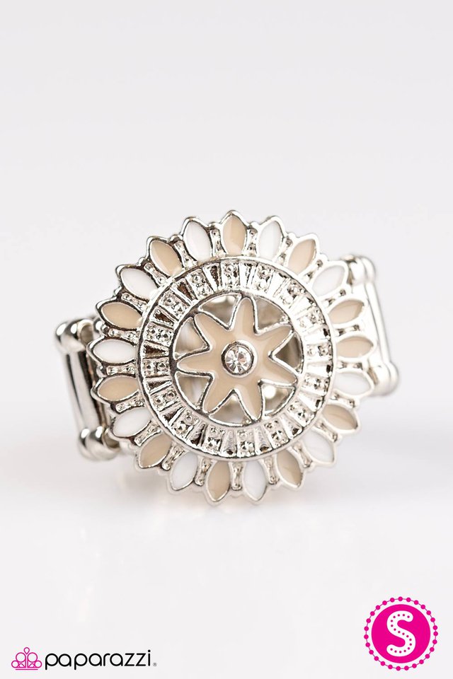 Paparazzi ♥ Summer Spree - Brown ♥ Ring