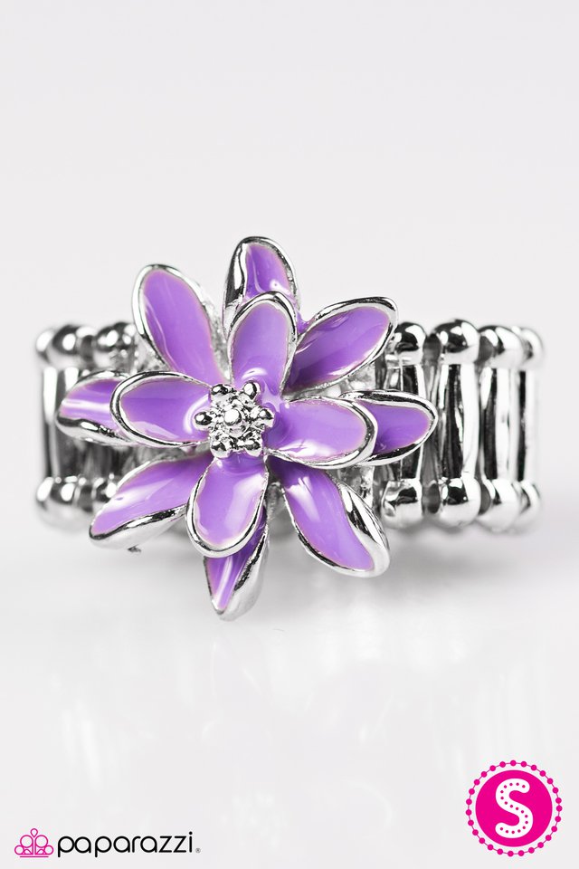 Paparazzi ♥ Hopelessly Honolulu - Purple ♥ Ring