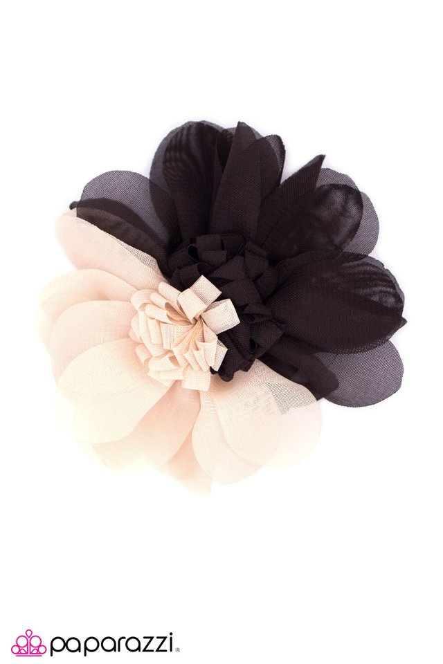 Paparazzi ♥ Toasted - Brown ♥ Hair Clip
