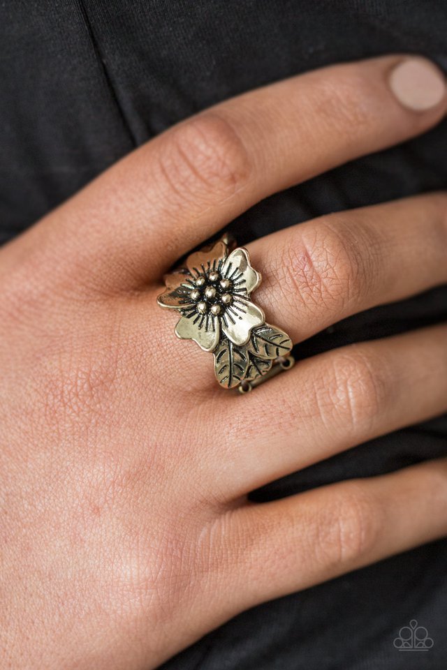 Paparazzi ♥ Rio Retreat - Brass ♥ Ring