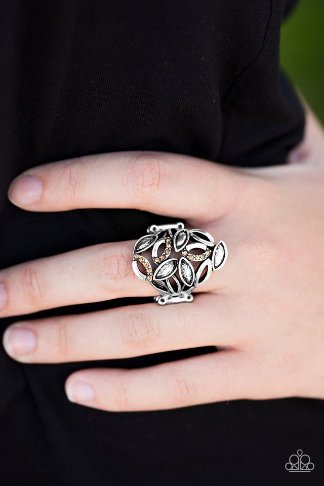 Paparazzi ♥ Autumn Awe - Brown ♥ Ring