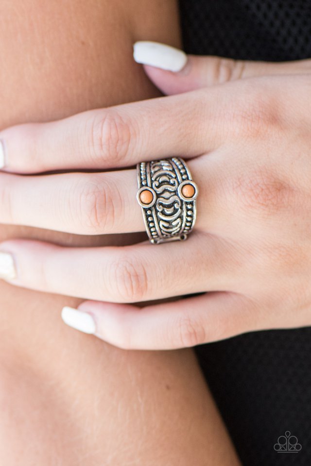 Paparazzi ♥ Lost In The Amazon - Brown ♥ Ring