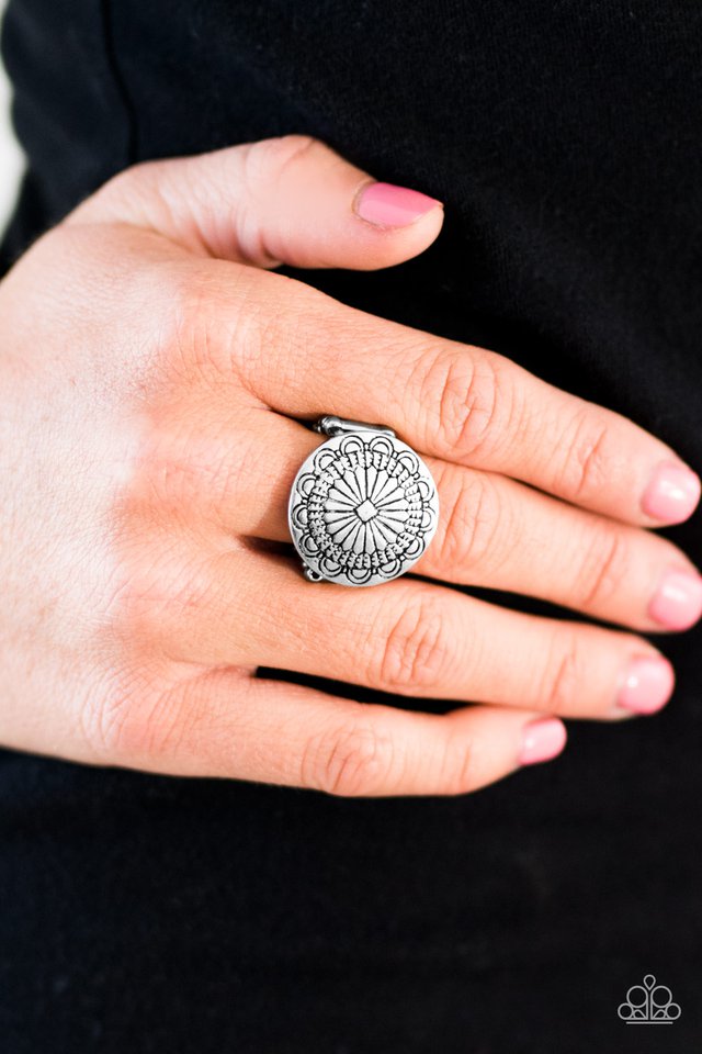 Paparazzi ♥ Seasonal Spinster - Silver ♥ Ring