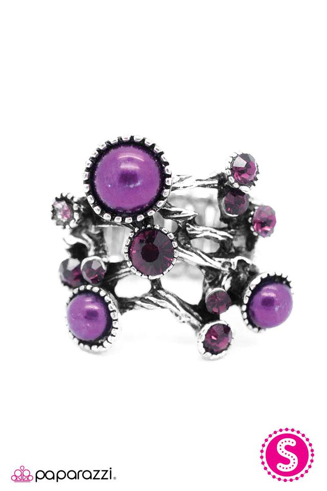 Paparazzi ♥ All the Trimmings Ring - Purple ♥ Ring