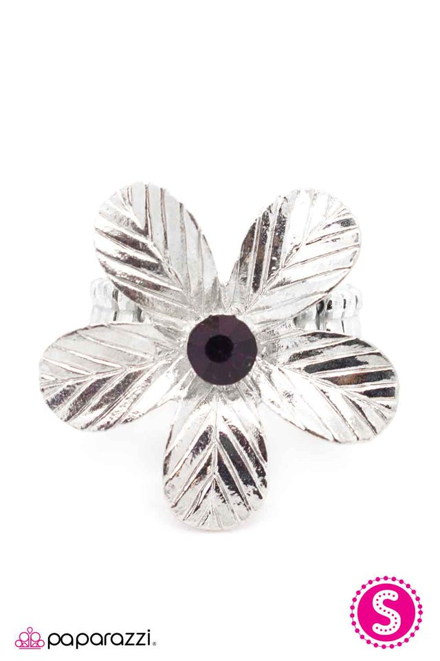 Paparazzi ♥ I Am An Island - Purple ♥ Ring