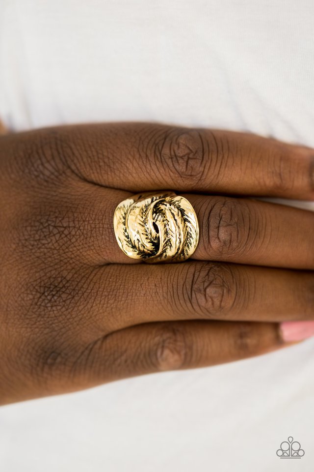 Paparazzi ♥ Feathers Will Fly - Brass ♥ Ring