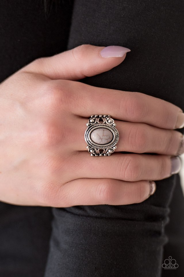 Paparazzi ♥ Coyote Canyon - Silver ♥ Ring