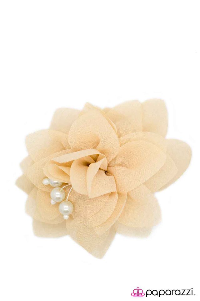 Paparazzi ♥ Time To Move On - Brown ♥ Hair Clip