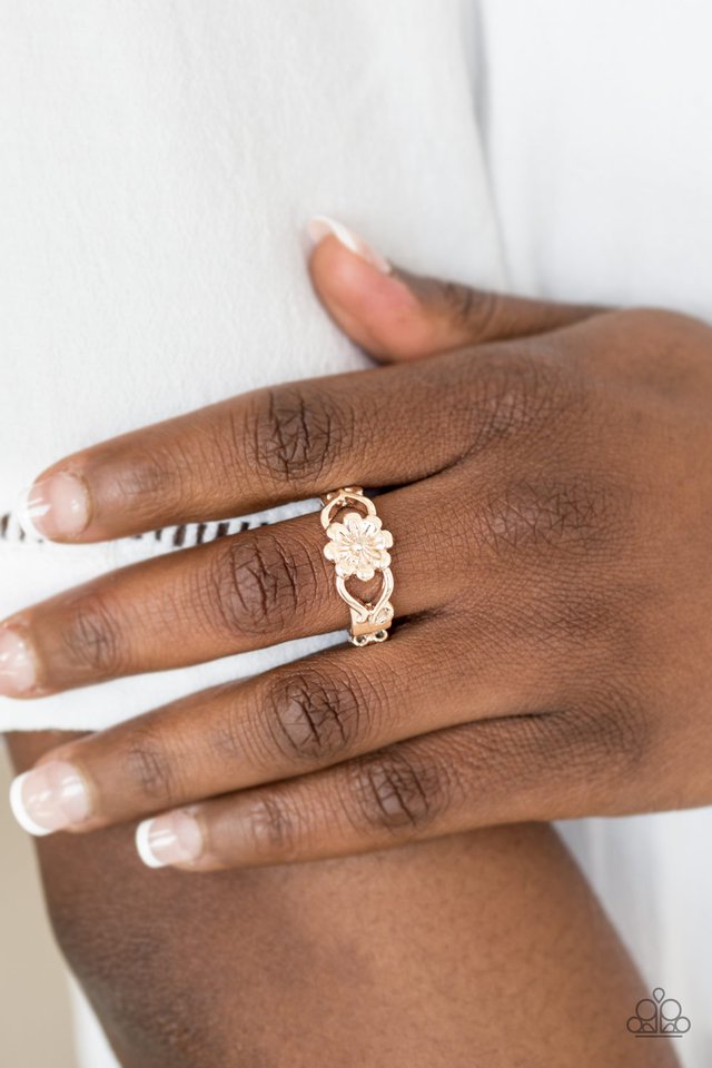 Paparazzi ♥ Galapagos Gardens - Rose Gold ♥ Ring