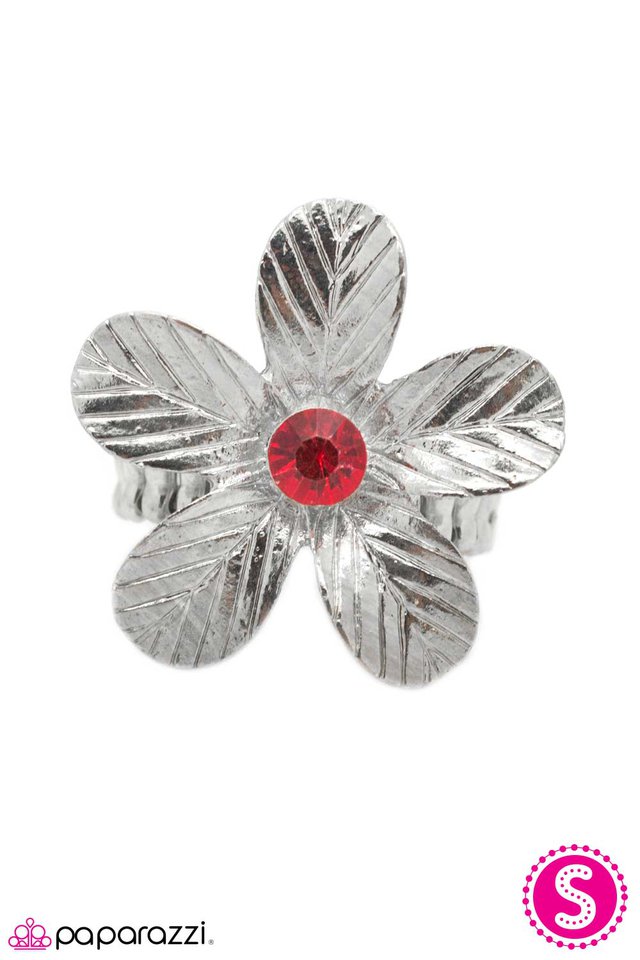Paparazzi ♥ I Am an Island - Red ♥ Ring
