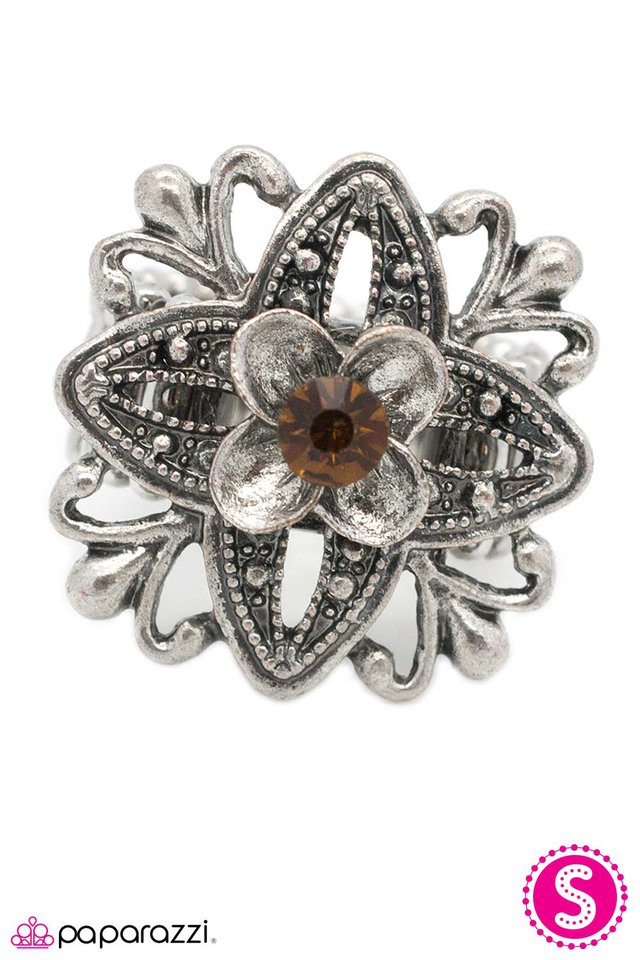Paparazzi ♥ Never Been Better - Brown ♥ Ring