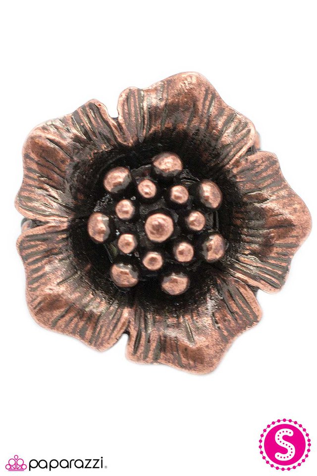 Paparazzi ♥ Every Last Detail - Copper ♥ Ring