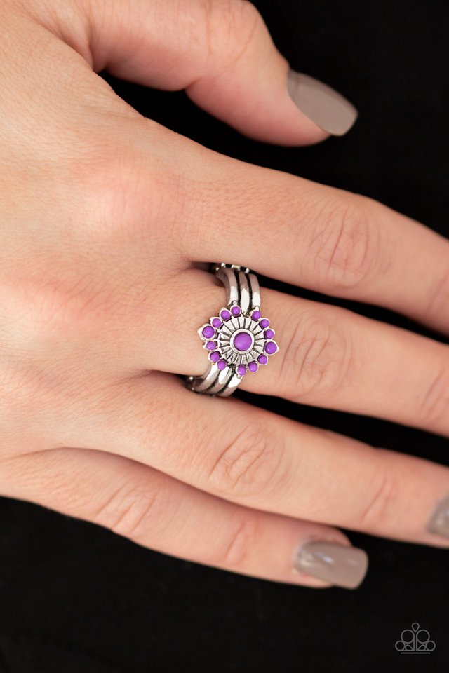 Paparazzi ♥ Rainbow Rivera - Purple ♥ Ring