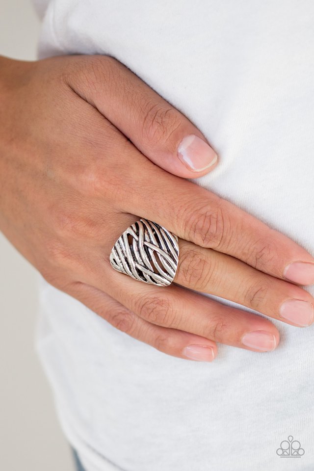 Paparazzi ♥ Really Riveting - Silver ♥ Ring