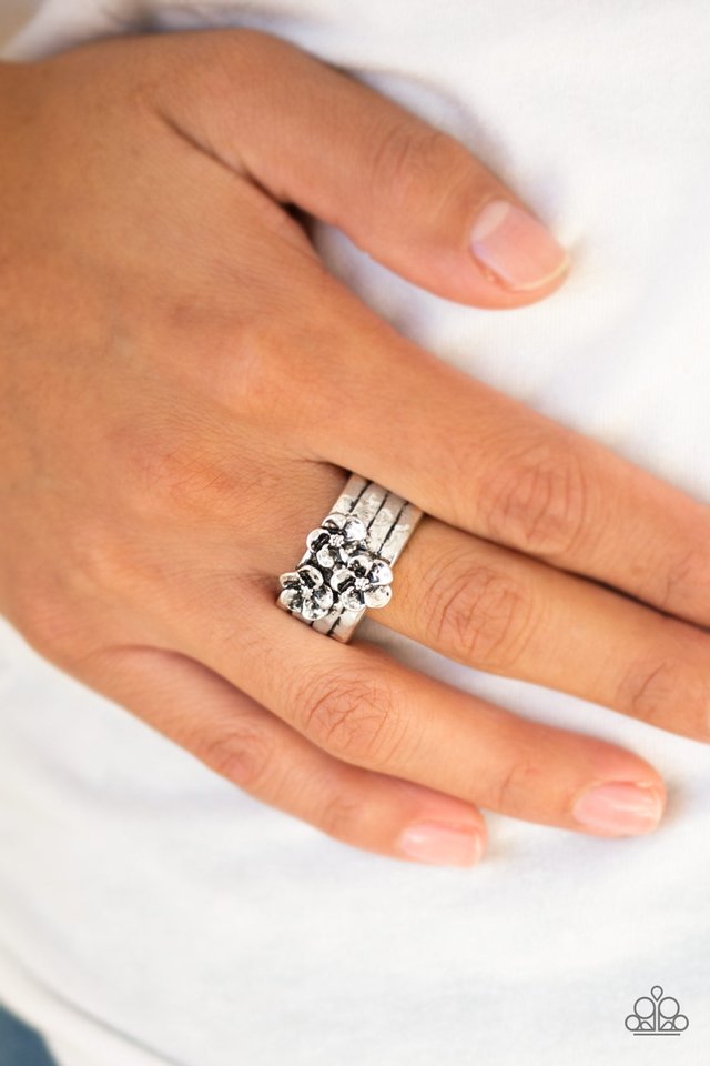 Paparazzi ♥ This ISLAND Is Your ISLAND - Silver ♥ Ring