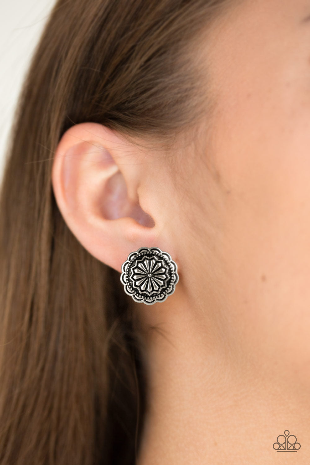 Paparazzi ♥ Durango Desert - Silver ♥ Post Earrings
