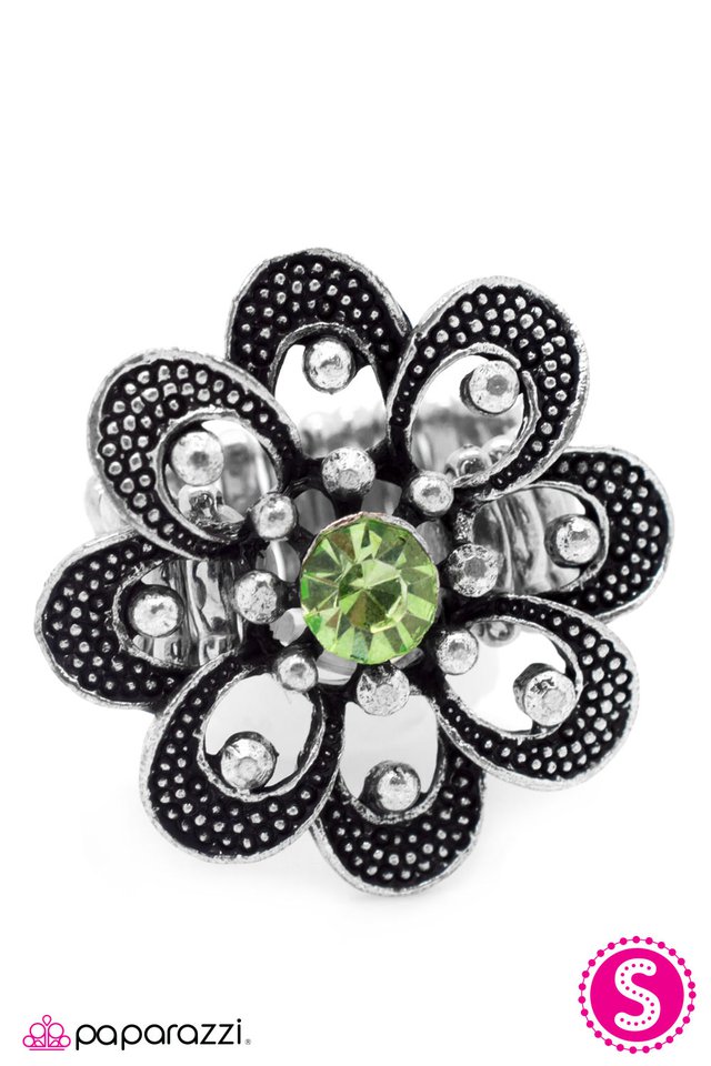 Paparazzi ♥ Growing Admiration - Light Green ♥ Ring