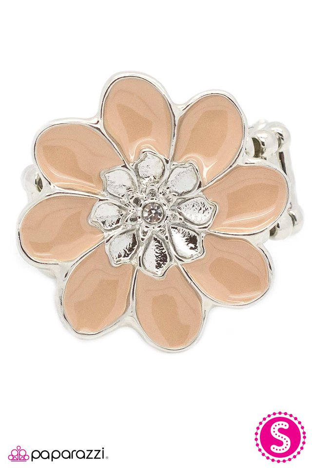 Paparazzi ♥ Spring Fling - Brown ♥ Ring